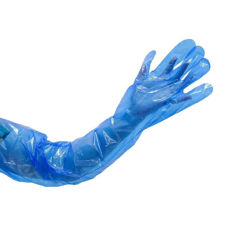 Poly Disposable Gloves, Shoulder Length